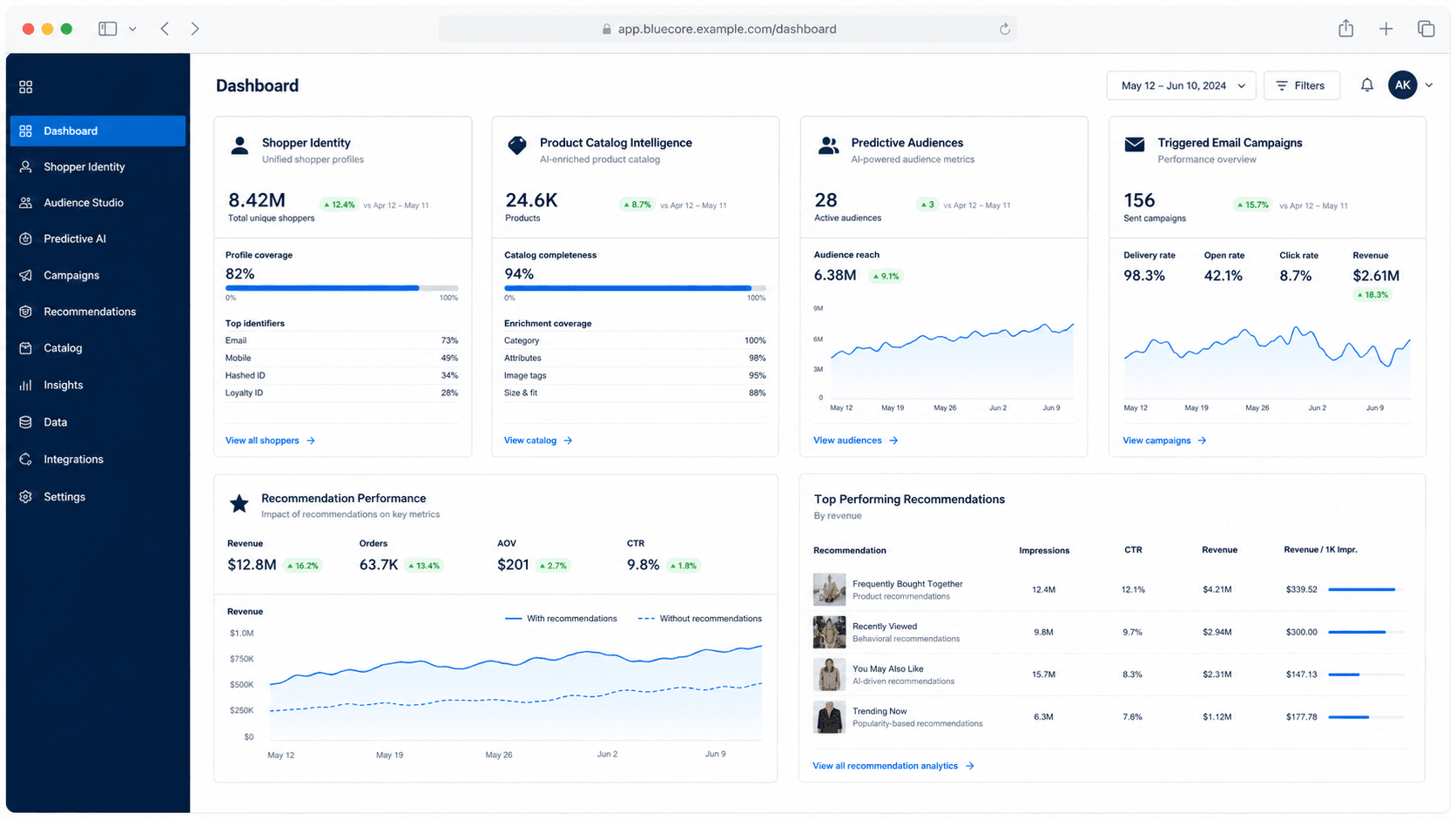 Bluecore dashboard screenshot