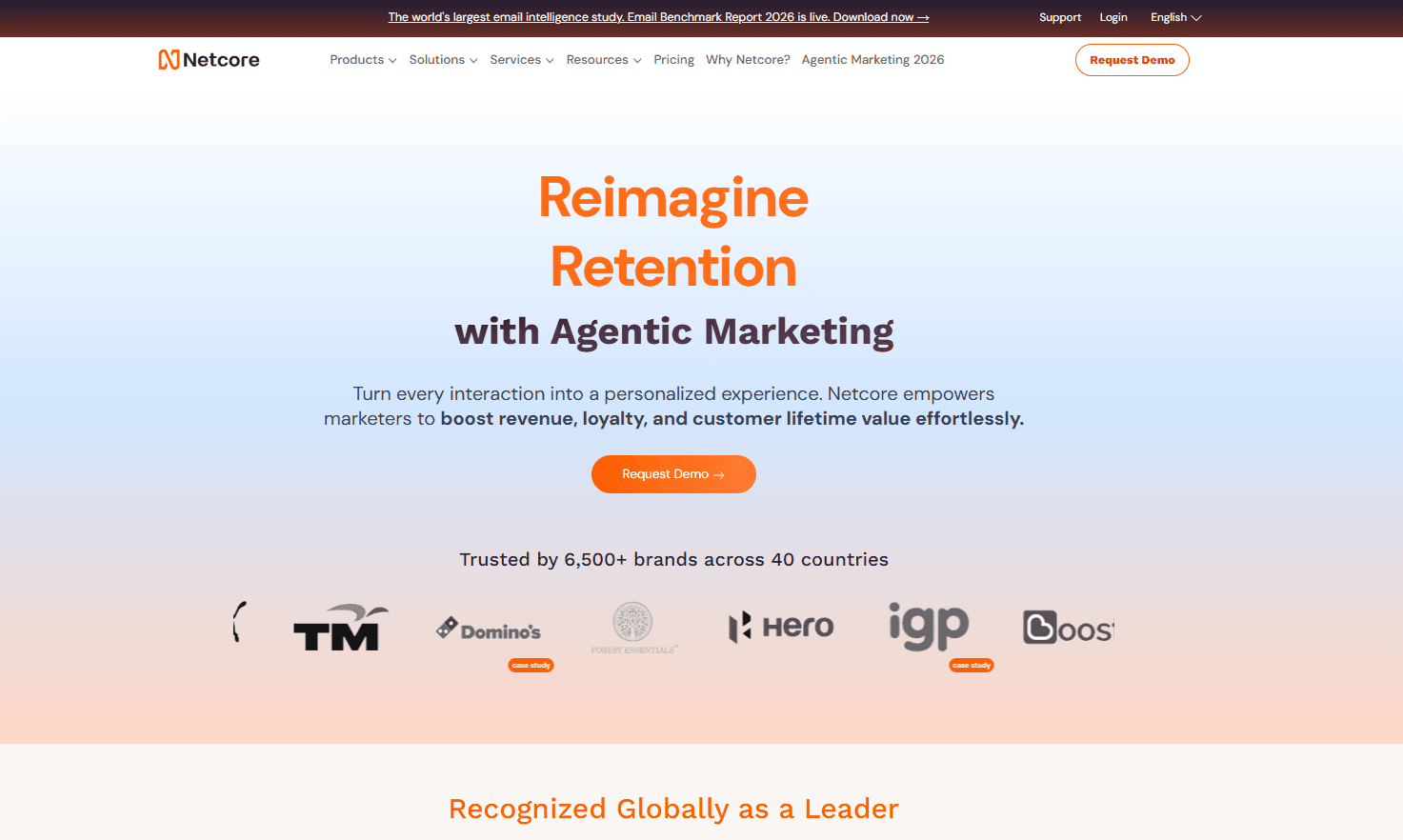 Netcore landing page screenshot