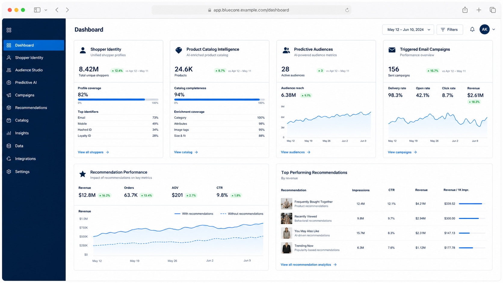 Bluecore screenshot