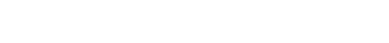 SnapCount